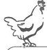 Alt Text for Image